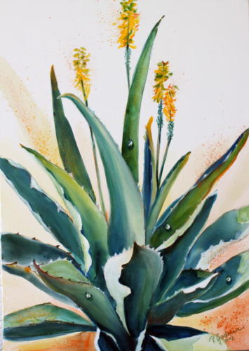 Aloe Aquarell 70x50cm