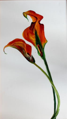 Calla Öl 60x30cm