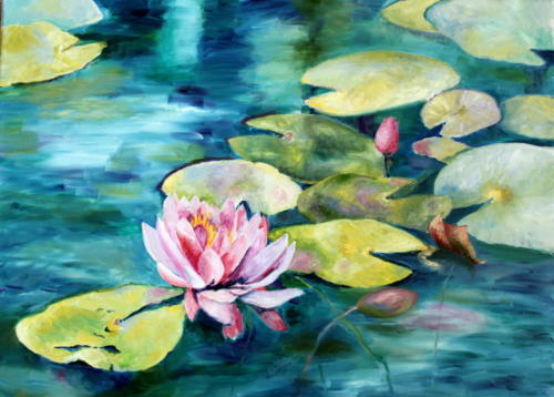 Seerosen 1, Öl 50x70cm