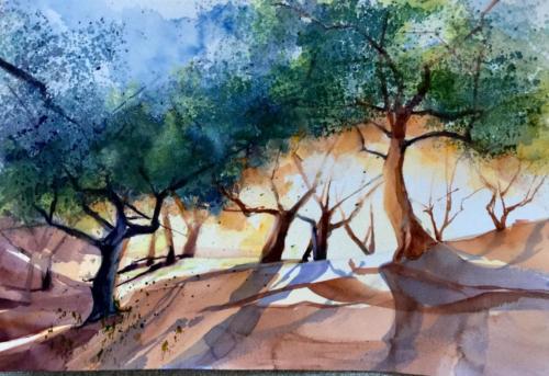 Olivenhain Aquarell 50x70cm