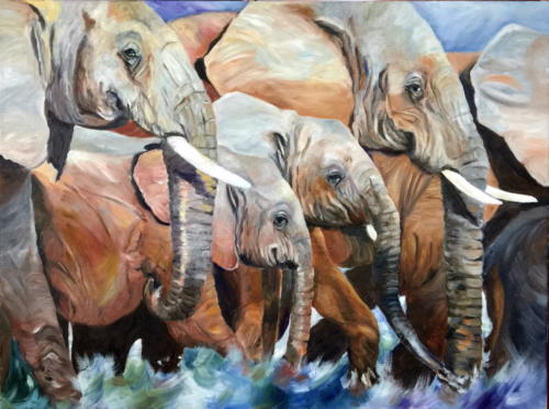 Elefanten Öl 60x80cm