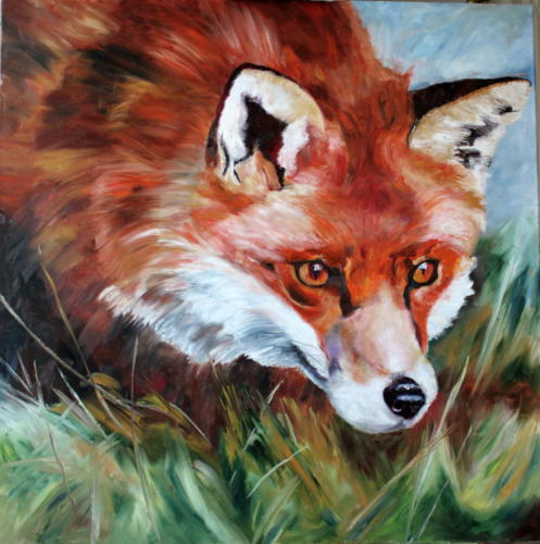 Fuchs Öl 80x80cm