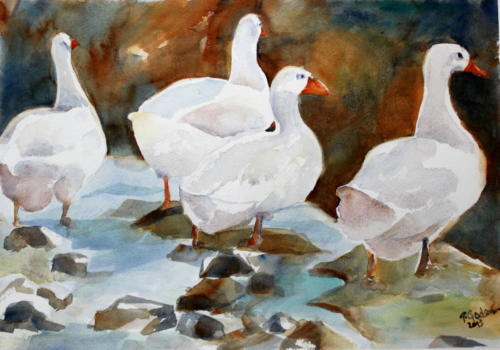 Gänse Aquarell 50x70cm