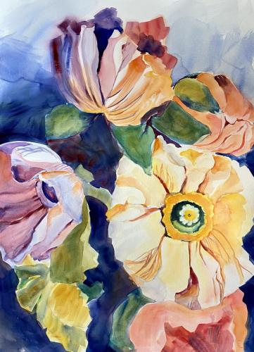 Mohn Aquarell